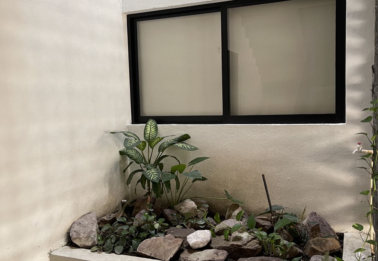 Departamento en Mazatlán - 2BR in Golden Zone, 260 m from the beach