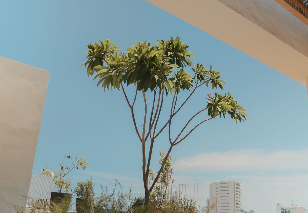 Departamento en Mazatlán - ÜN | Malecón a 300 m | Alberca y fogatero